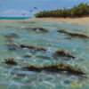 Shallows